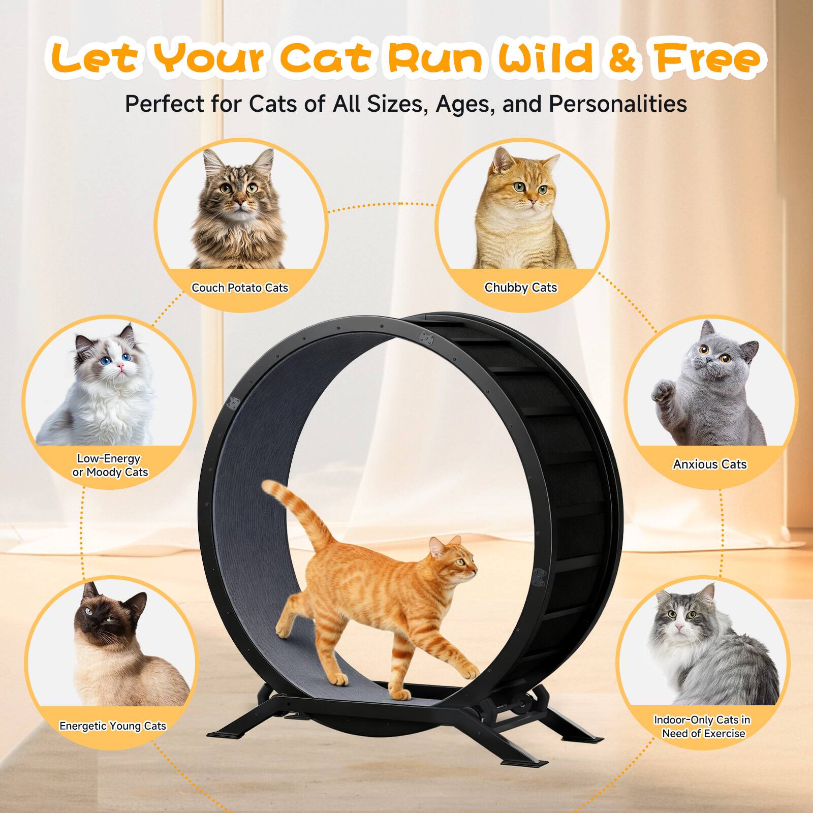 Let Your Cat Run Wild & Free  
Perfect for Cats of All Sizes, Ages, and Personalities  

- Couch Potato Cats  
- Chubby Cats  
- Low-Energy or Moody Cats  
- Anxious Cats  
- Energetic Young Cats  
- Indoor-Only Cats in Need of Exercise