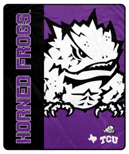 Pegasus - TCU Horned Frogs 50" x 60" Endzone Ultra Soft Throw Blanket - Multicolor