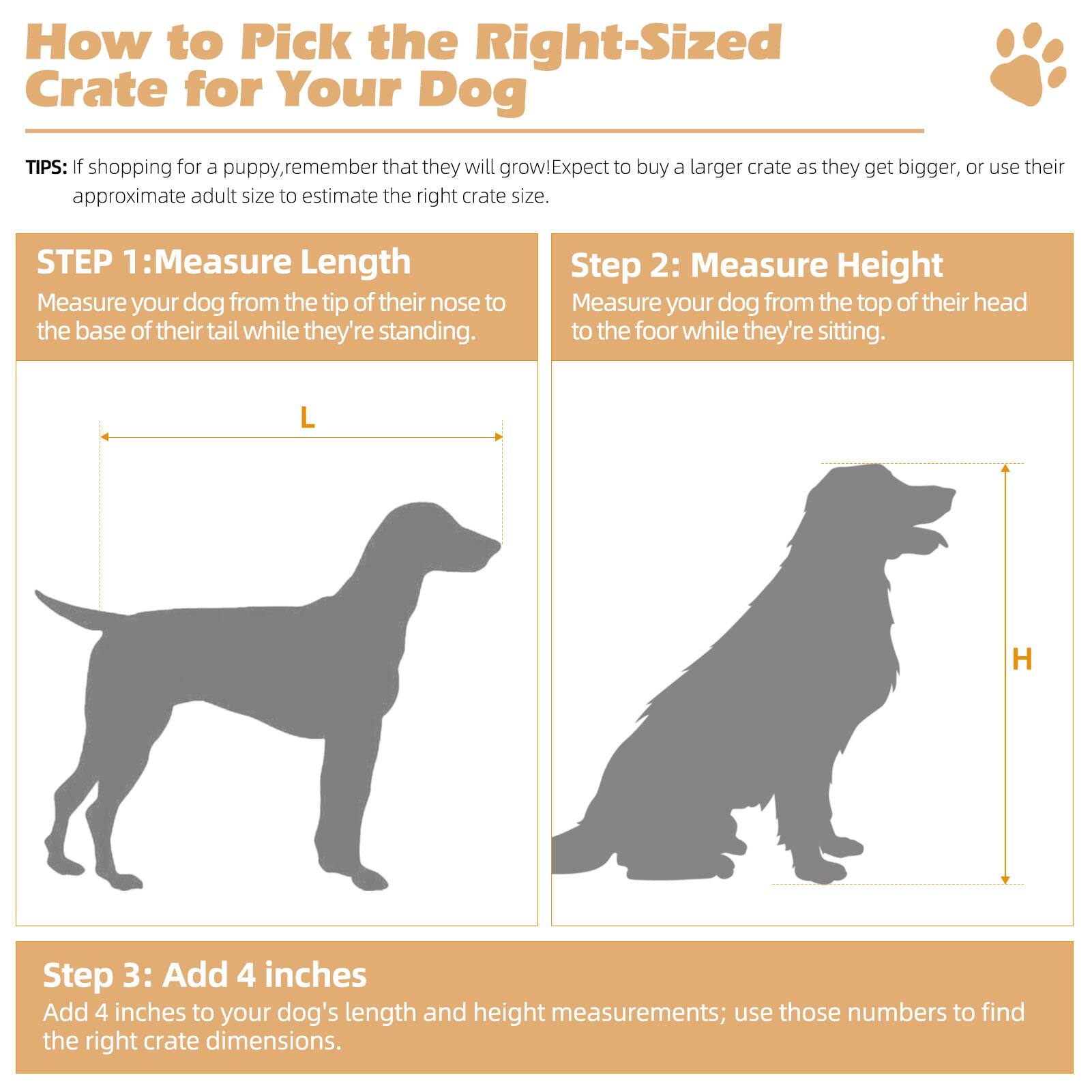 How to Pick the Right-Sized Crate for Your Dog

TIPS: If shopping for a puppy, remember that they will grow. Expect to buy a larger crate as they get bigger, or use their approximate adult size to estimate the right crate size.

STEP 1: Measure Length
Measure your dog from the tip of their nose to the base of their tail while they're standing.

Step 2: Measure Height
Measure your dog from the top of their head to the floor while they're sitting.

Step 3: Add 4 inches
Add 4 inches to your dog's length and height measurements; use those numbers to find the right crate dimensions.