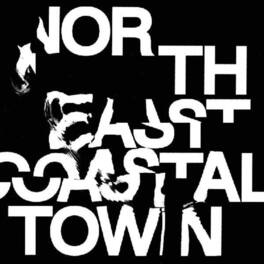 The Life - North East Coastal Town - VINYL LP
