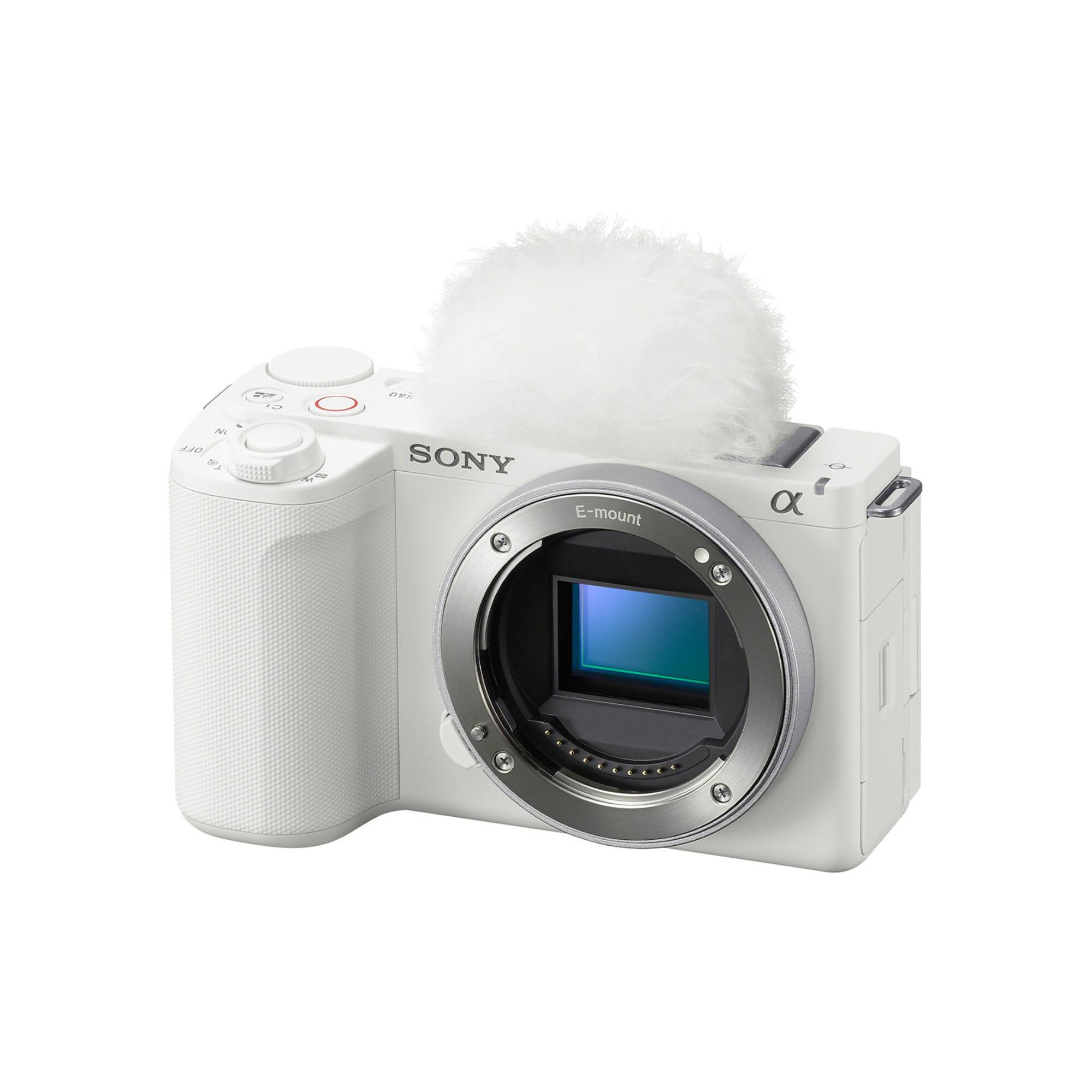 I. 1a A 2A0 1N F SONY E-mount C a