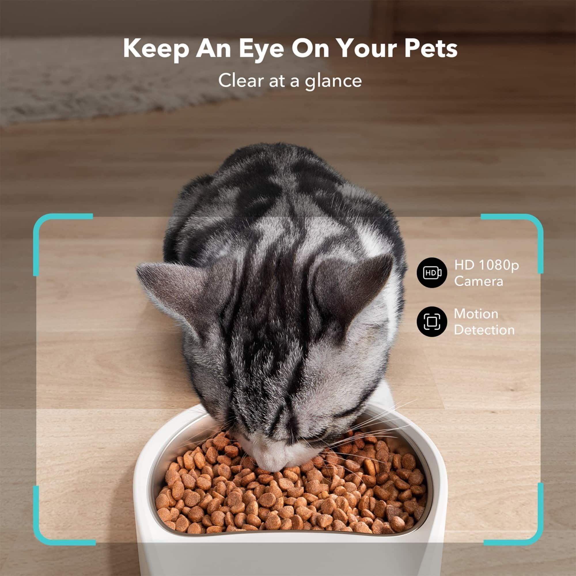 Keep an eye on your pets with a clear, high-resolution HD 1080p camera that features motion detection.