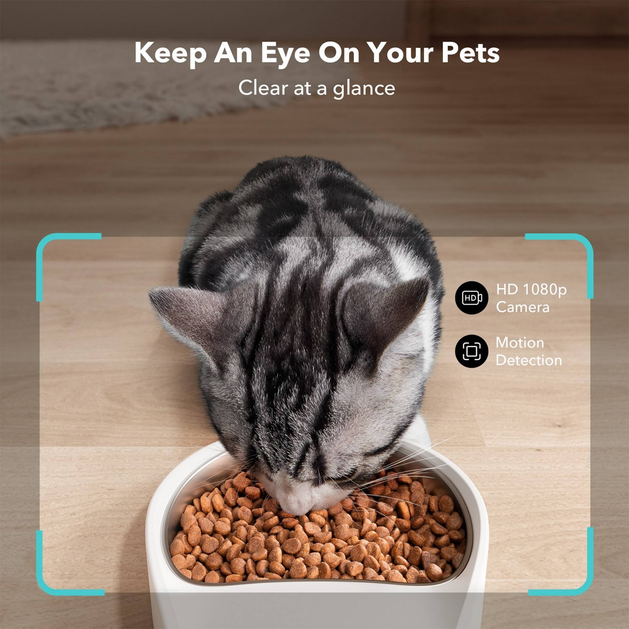 Keep an eye on your pets with a clear, high-resolution HD 1080p camera that features motion detection.