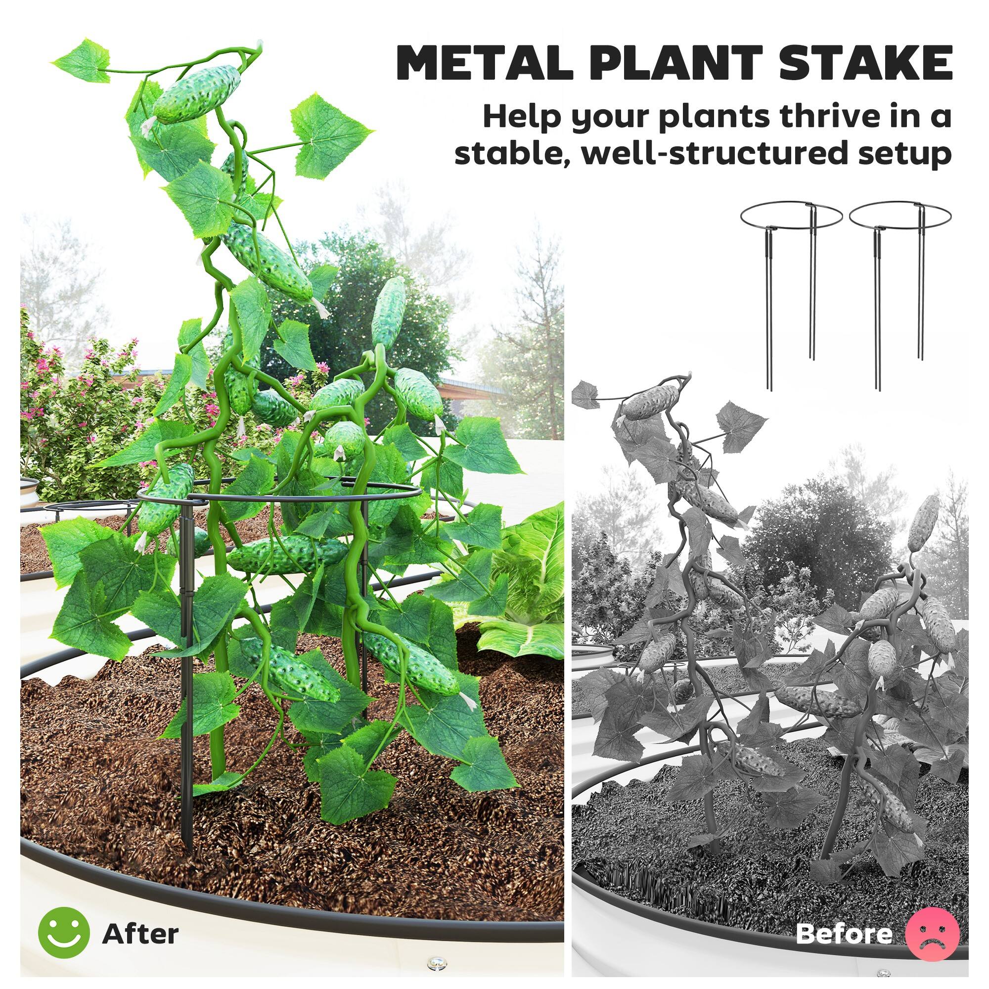 METAL PLANT STAKE Help your plants thrive in a stable, well-structured setup

After
Before