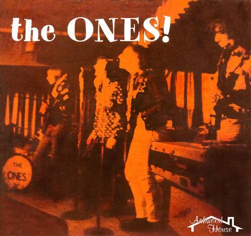 Front. The Ones!, Vol. 1 [LP].
