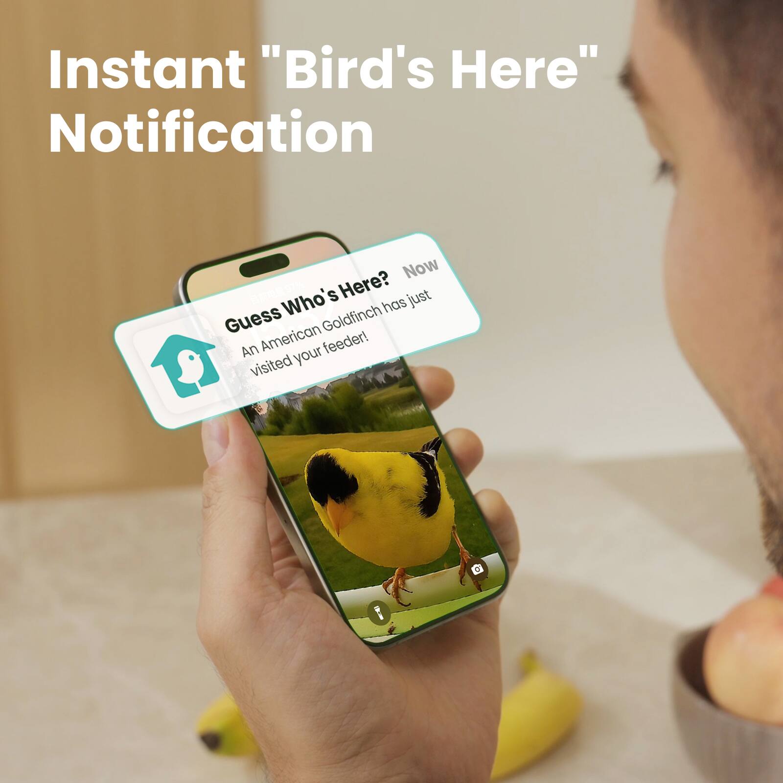 Instant "Bird's Here" Notification

Guess Who's Here?  
Now  
An American Goldfinch has just visited your feeder!