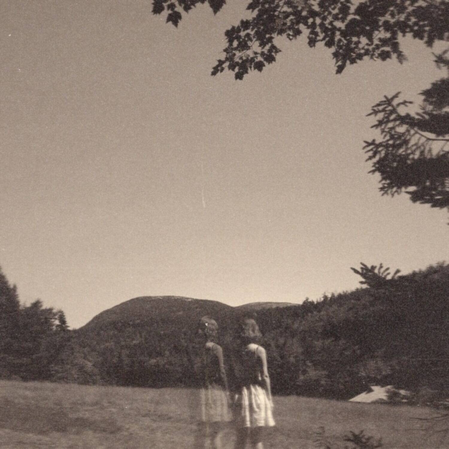 Front. Goldmund - The Malady Of Elegance   - VINYL LP.