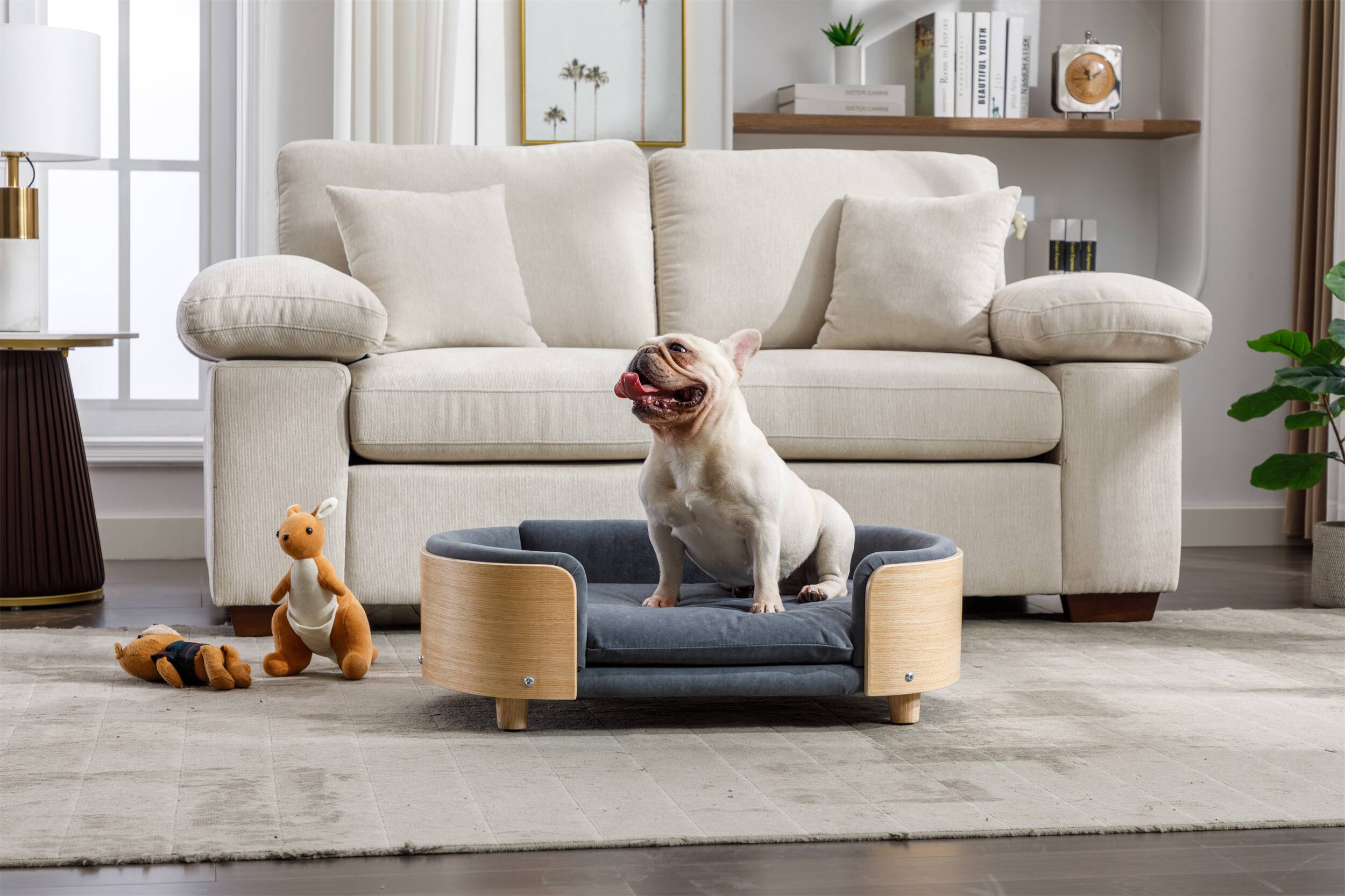 Siljoy - Mid-Size Scandinavian Pet Sofa with Solid Wood Legs & Removable Velvet Cushion - DARK GREY