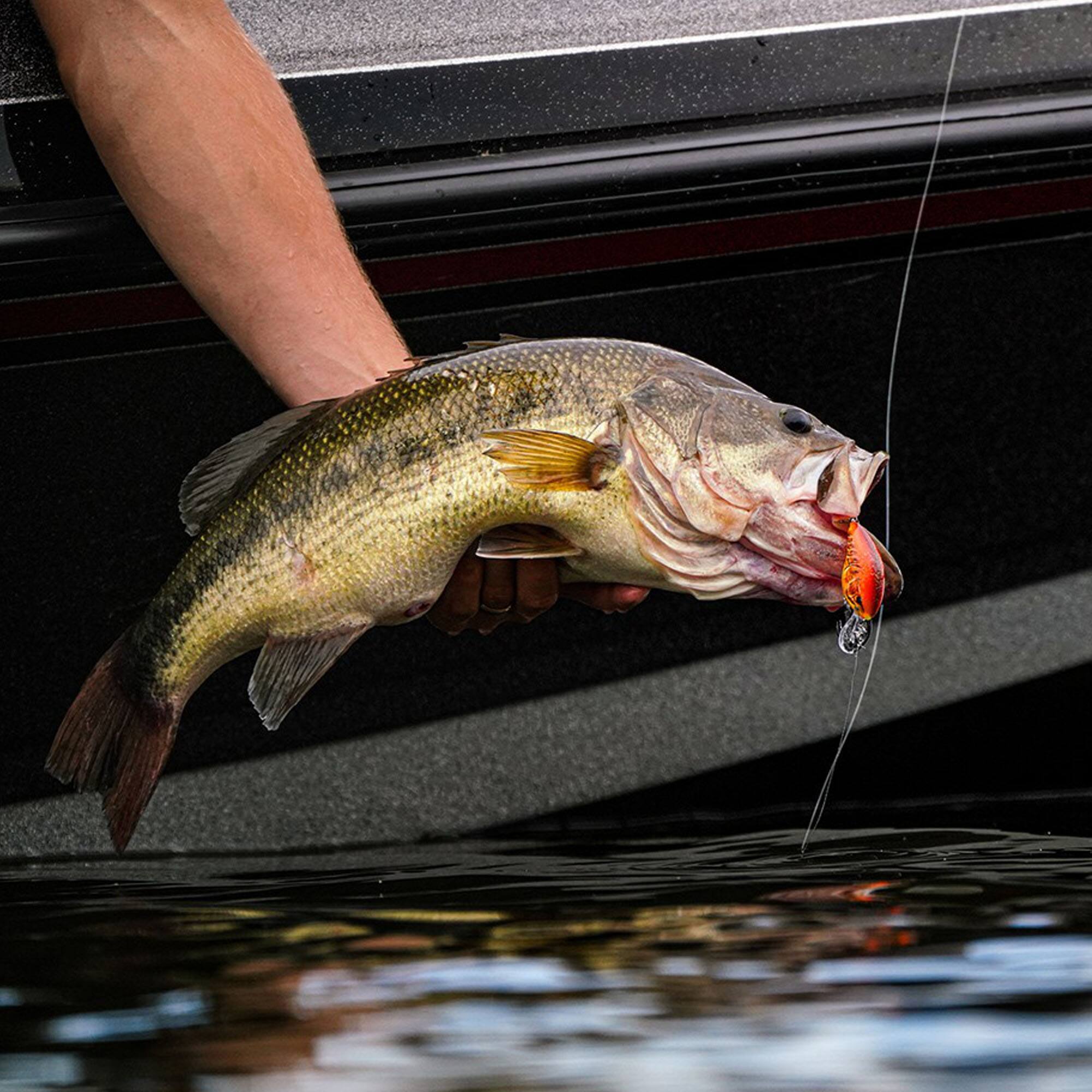 Alt View 2. Rapala - Rapala Dives-To 08, Lemon Shad - Lemon Shad.