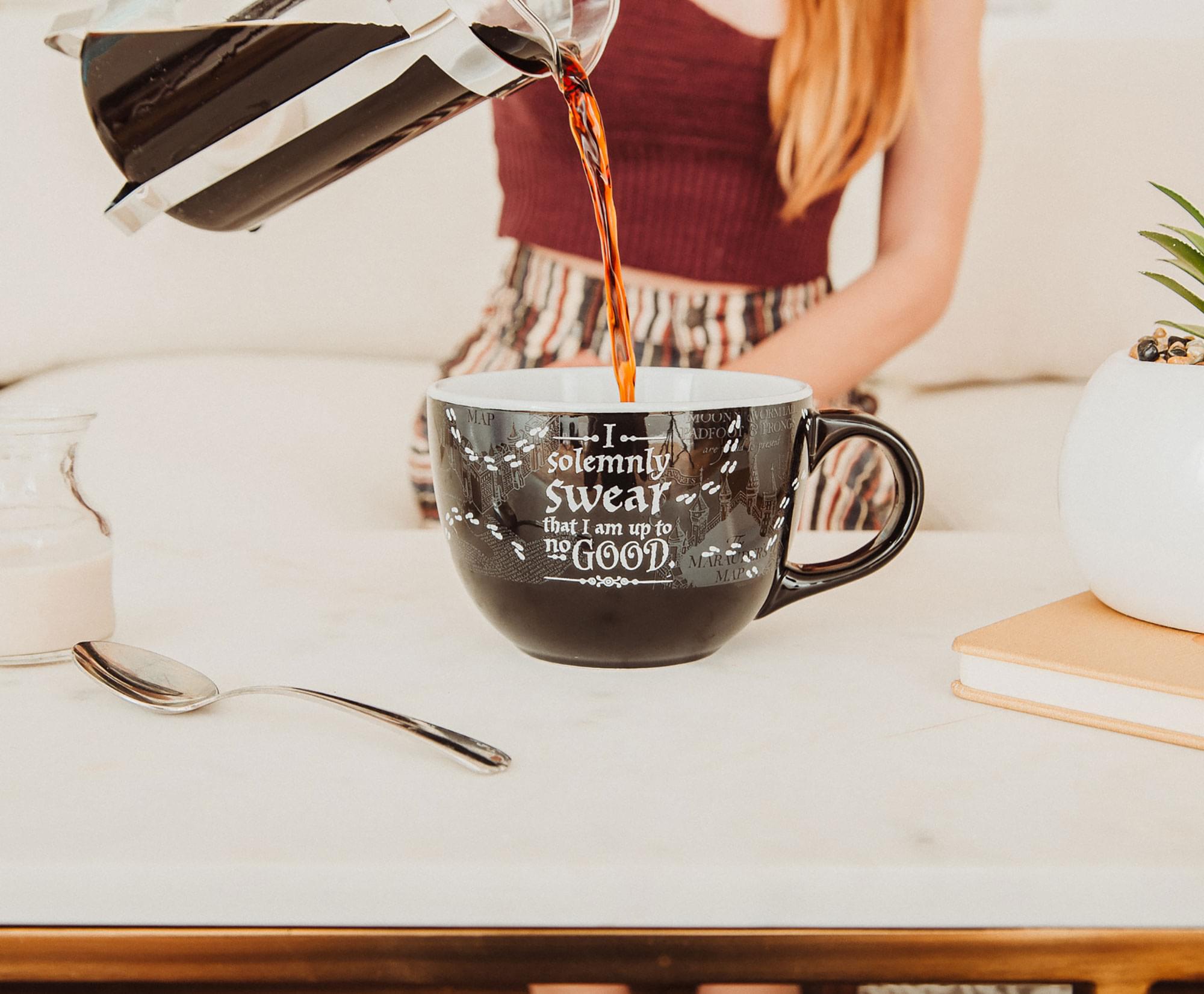 "I solemnly swear that I am up to no good."