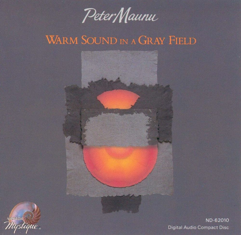 Best Buy: Warm Sound in a Gray Field [CD]