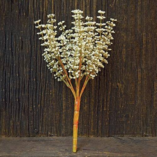 Front. BreeBe - *Cream Astible Bush - 10.5" - Cream.