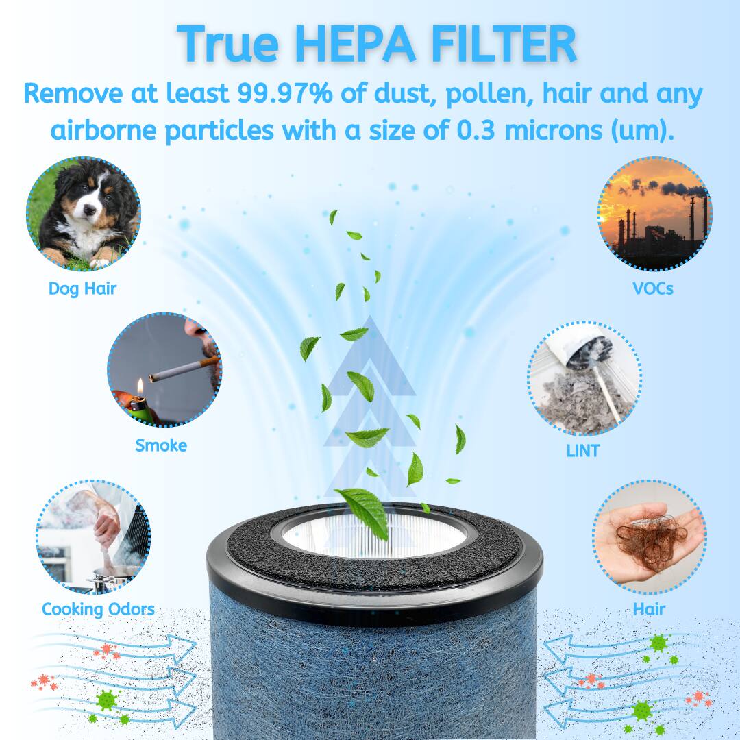 True HEPA FILTER  
Remove at least 99.97% of dust, pollen, hair and any airborne particles with a size of 0.3 microns (um).  

Dog Hair  
VOCs  
Smoke  
LINT  
Cooking Odors  
Hair