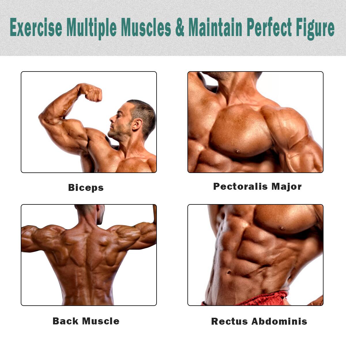 Exercise Multiple Muscles & Maintain Perfect Figure

1. Biceps
2. Pectoralis Major
3. Back Muscle
4. Rectus Abdominis