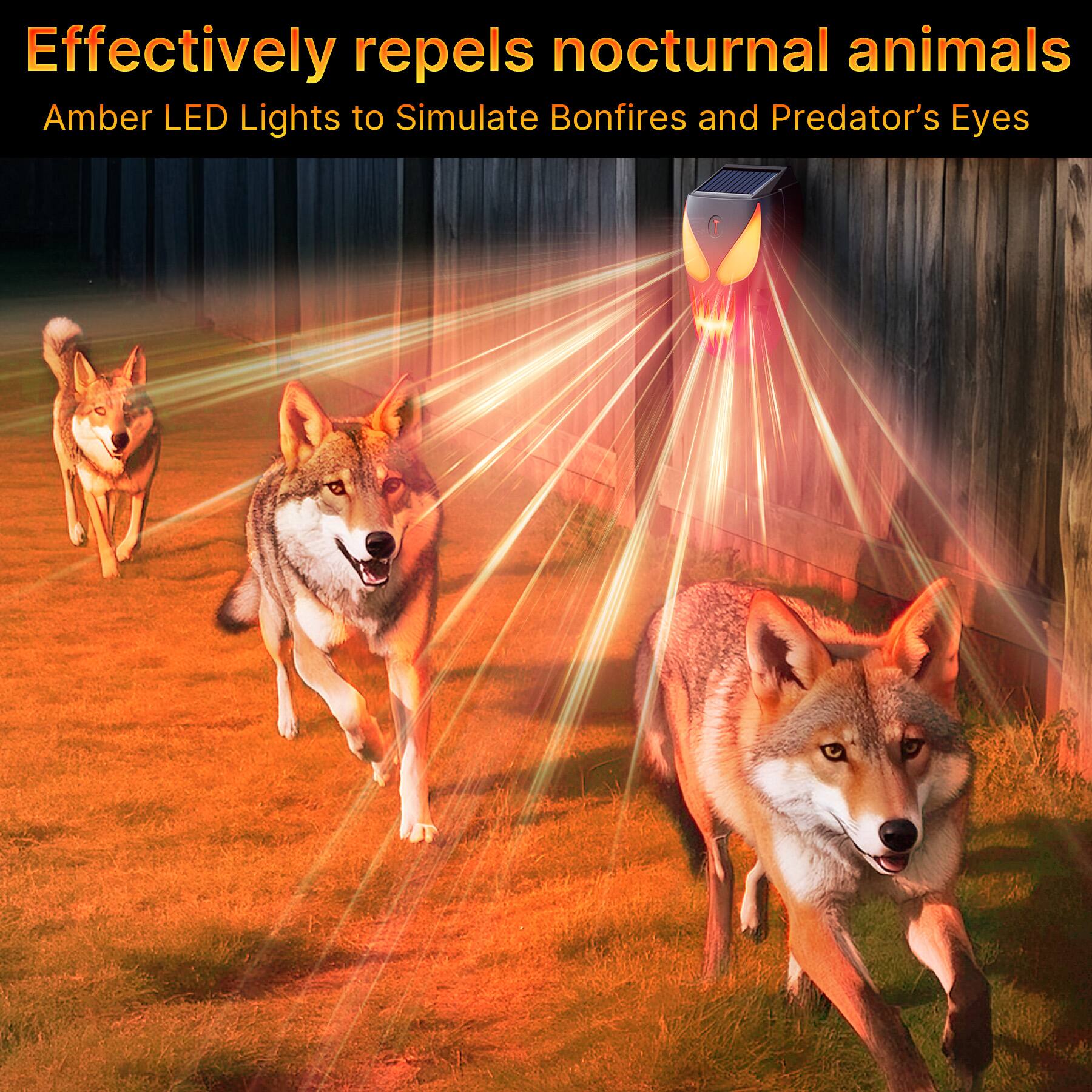 Effectively repels nocturnal animals  
Amber LED Lights to Simulate Bonfires and Predator's Eyes