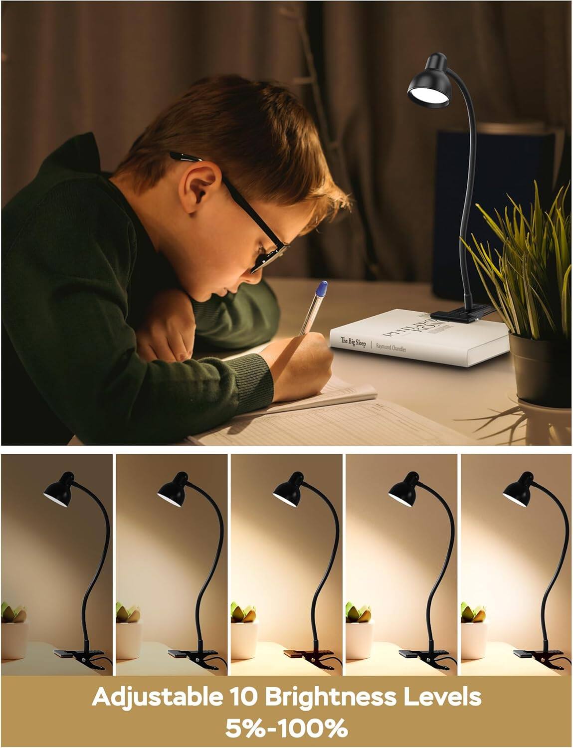 The text from the image can be grouped and corrected as follows:

- "Adjustable 10 Brightness Levels 5%-100%"

This text describes the adjustable brightness feature of the lamp, indicating that it can be set to 10 different levels ranging from 5% to 100%.
