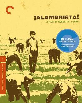 Alambrista! (Criterion Collection) - BLU-RAY