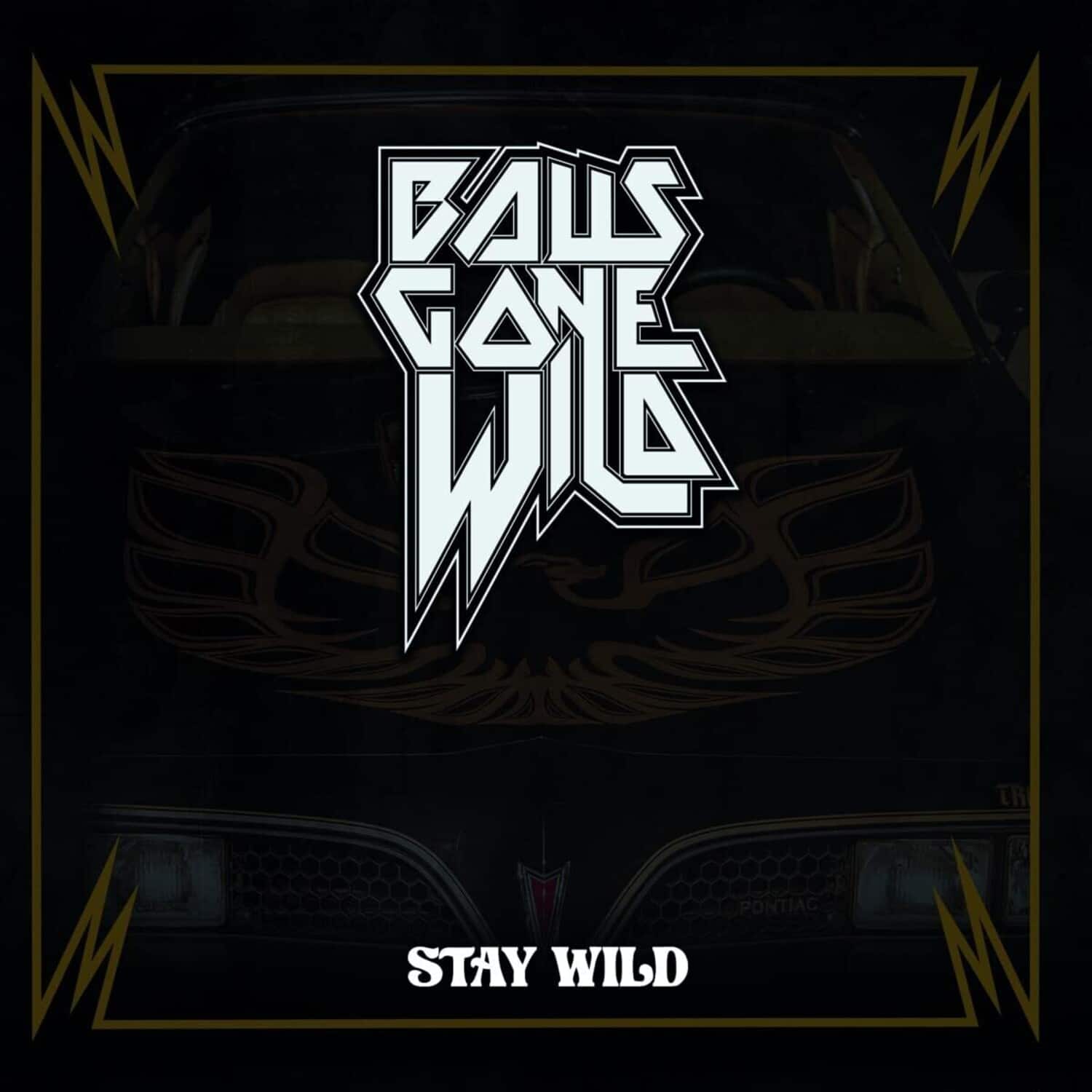 Balls Gone Wild - Stay Wild  - COMPACT DISCS