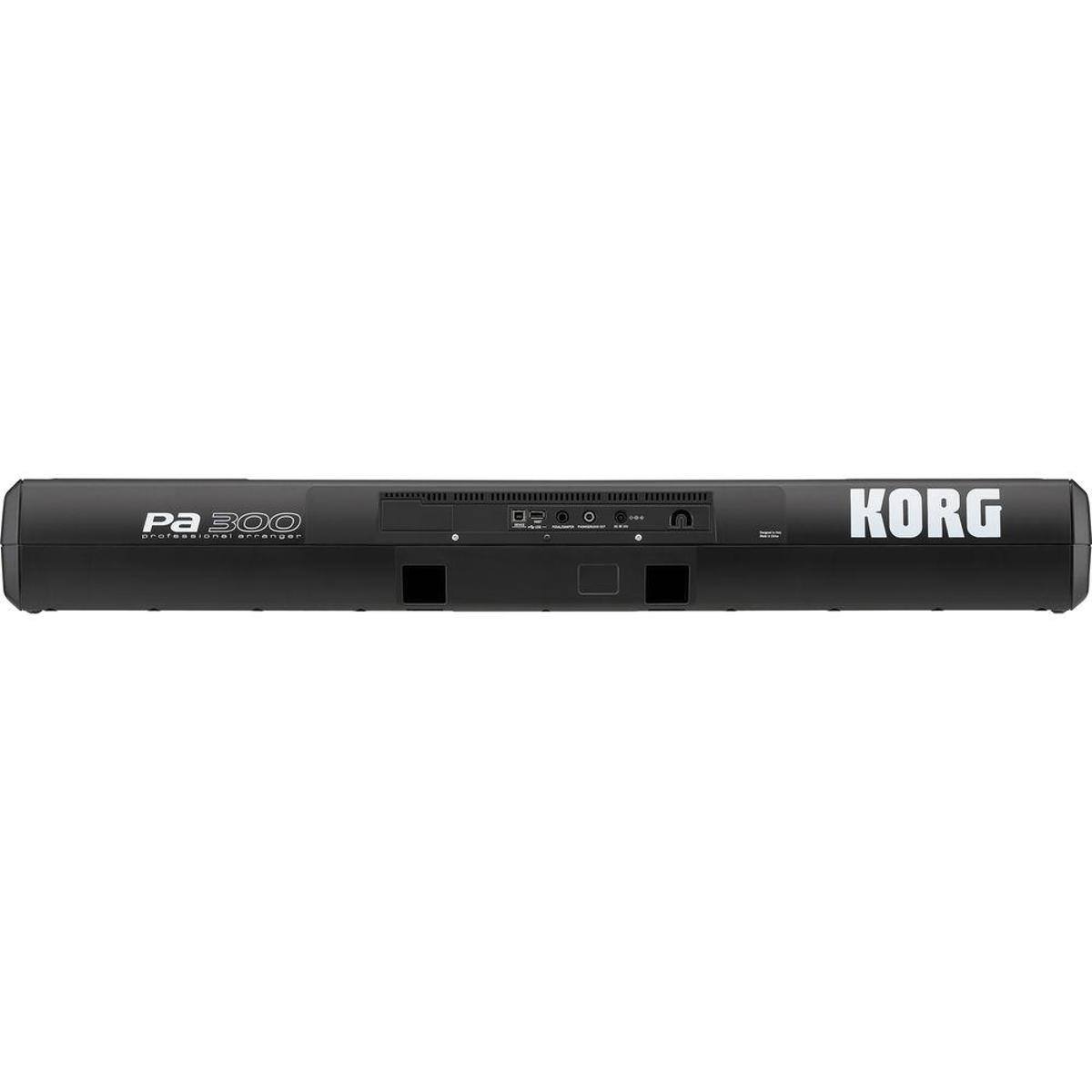Pa 300 CPSTSE RECODOSE KORG