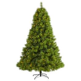 BreeBe - 8’ Scotch Pine Christmas Tree w/600 Clear LED Lights - Green