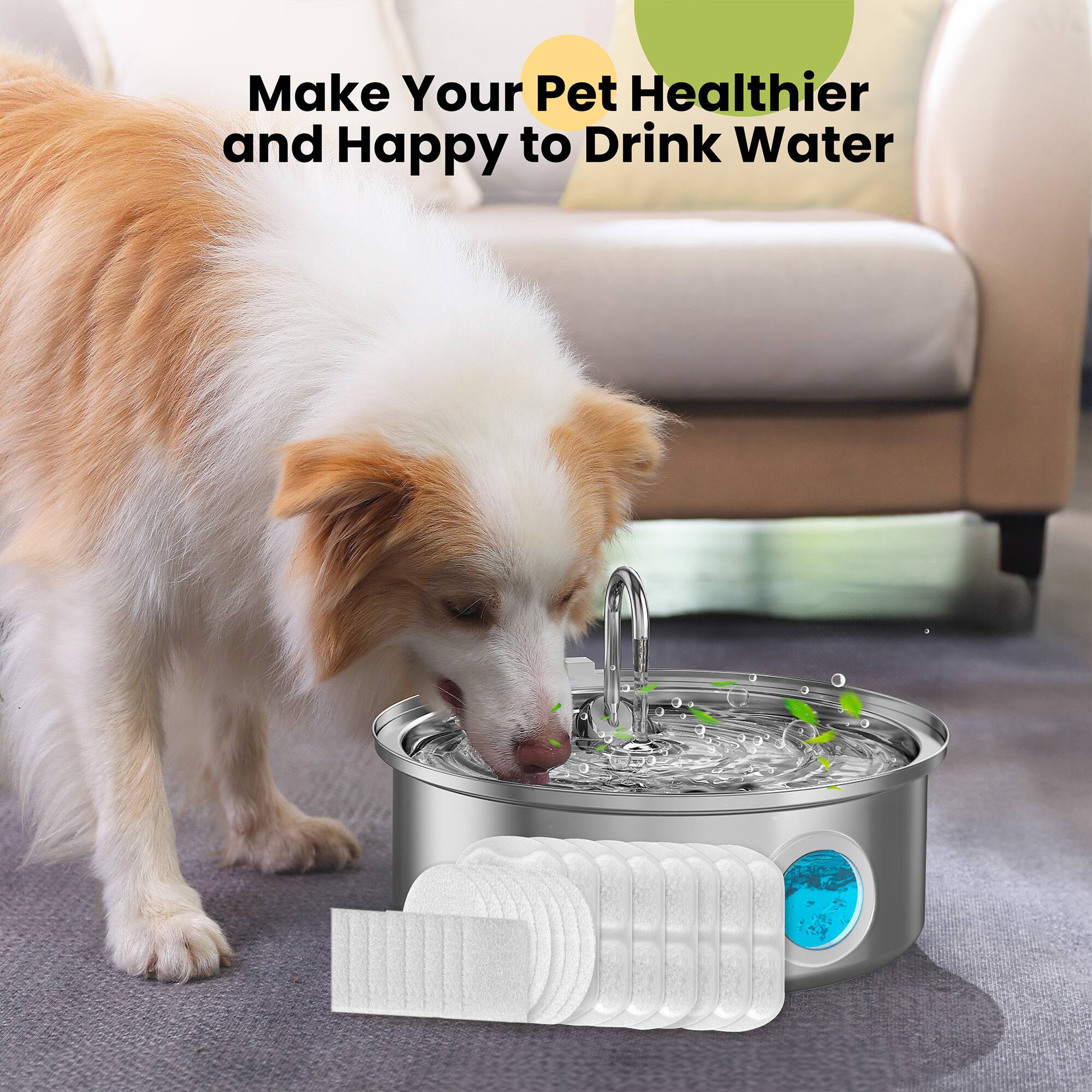 Make Your Pet Healthier and Happy to Drink Water