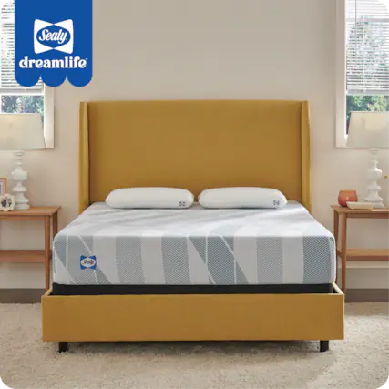 Sealy DreamLife 2 Cushion Sealy DreamLife 2 Cushion