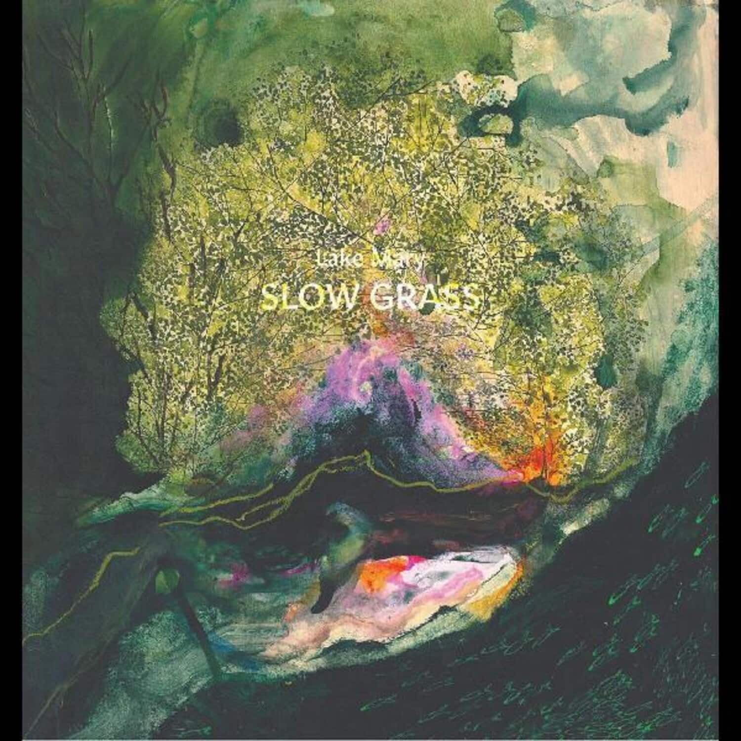 Lake Mary - Slow Grass   - VINYL LP price history on PriceWatchPro