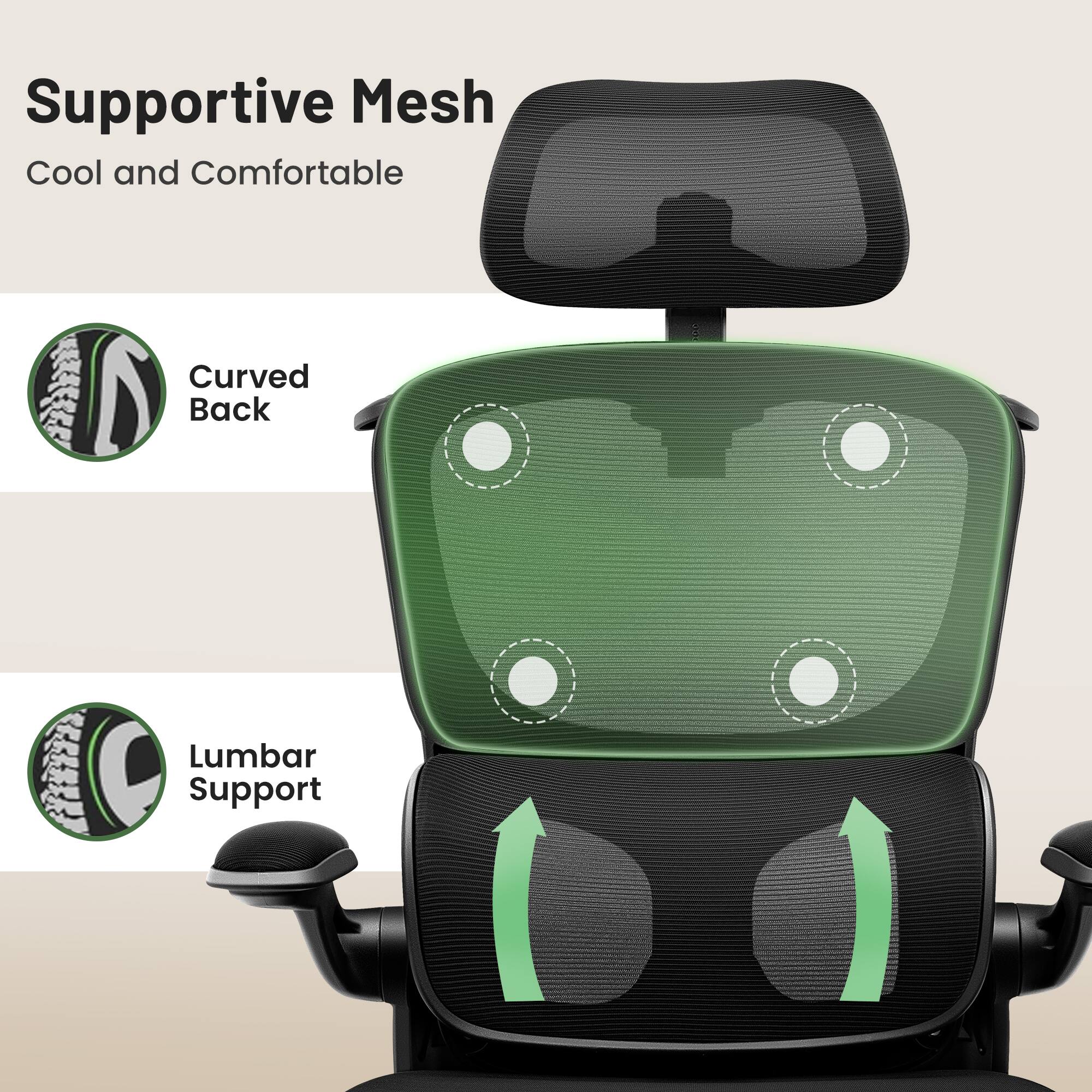 Supportive Mesh  
Cool and Comfortable  

Curved Back  

Lumbar Support