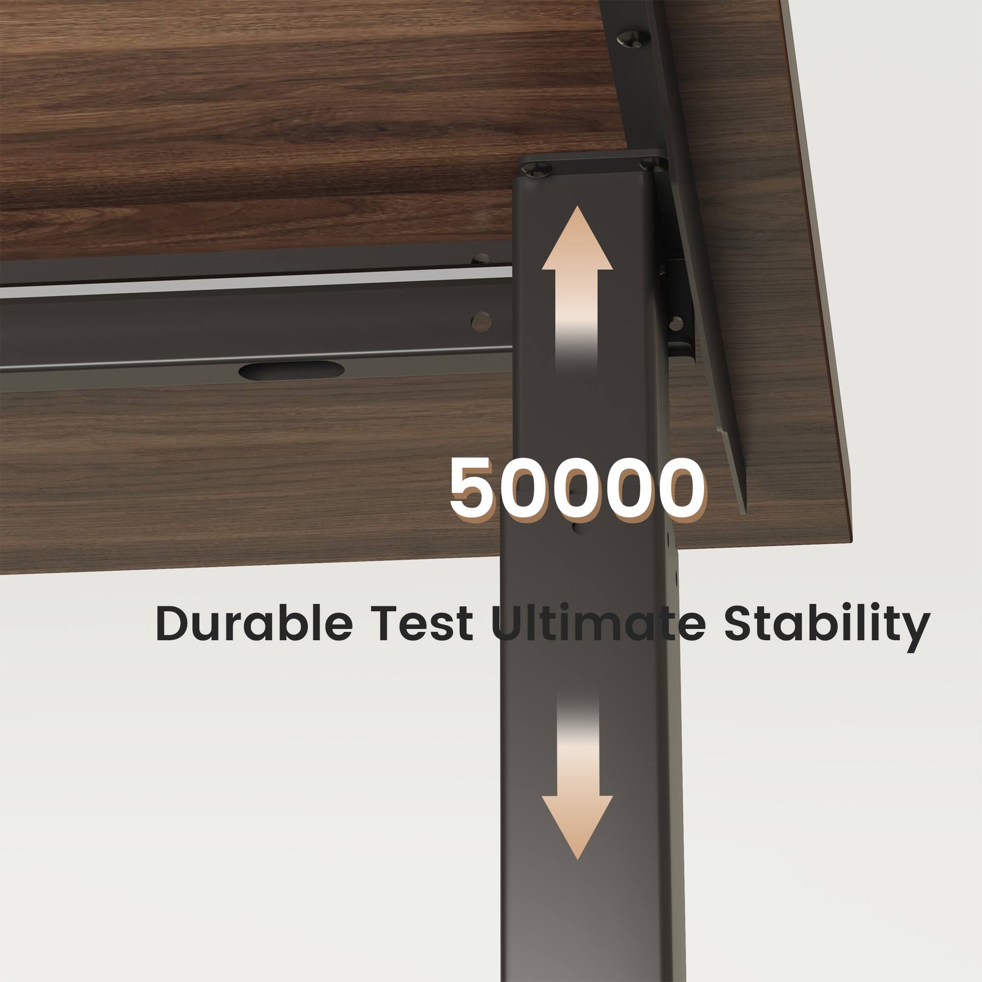 50000  
Durable Test Ultimate Stability