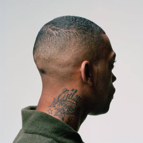 Wiley - 100% Publishing   - VINYL LP