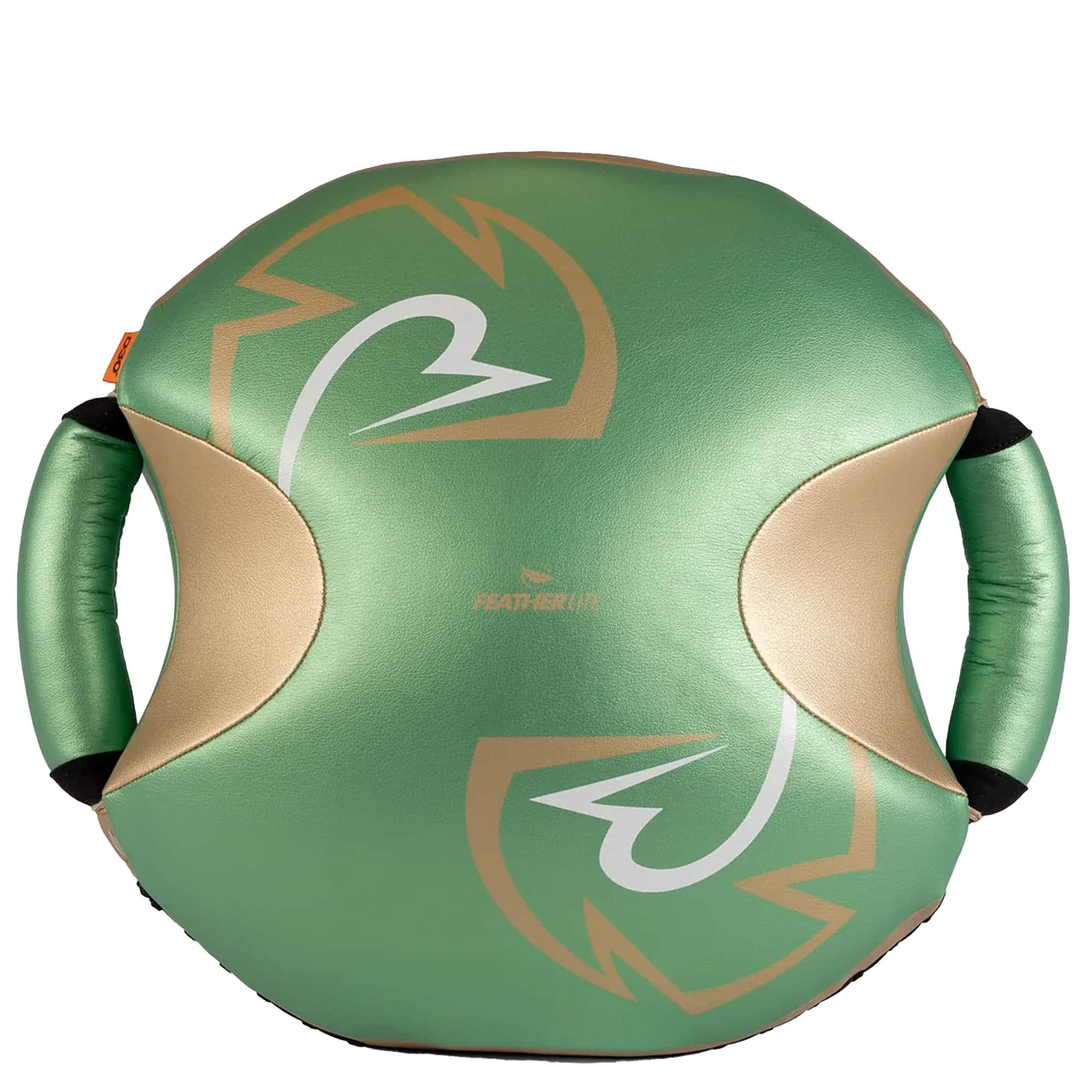 RIVAL - Boxing RPS100 Punch Shield - Green/Gold price history on PriceWatchPro