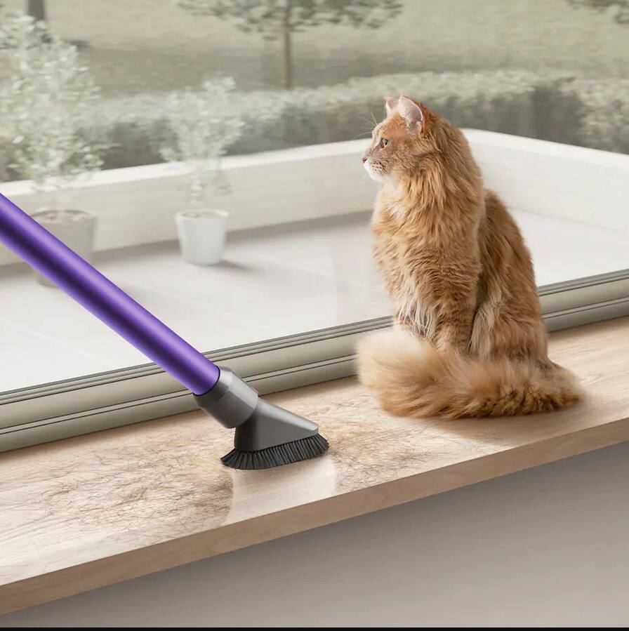 Left. Dyson - Cyclone V10 Animal Cordless Stick Vacuum.
