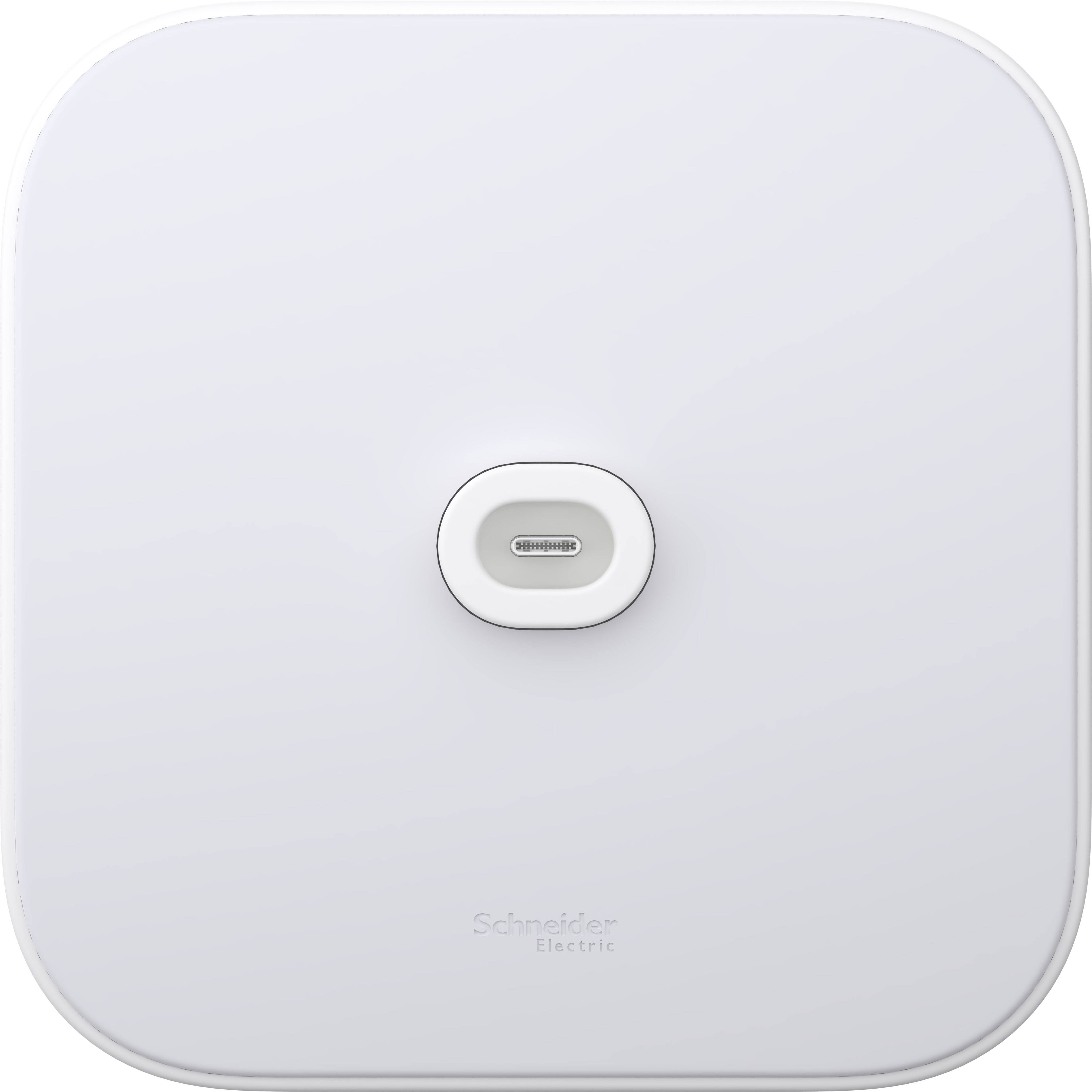 Schneider Electric
