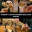 Posable T. rex has movable skull, arms, and tail.