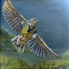 The Wildwoods - Dear Meadowlark - VINYL LP