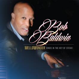 Bob Baldwin - Mellowonder- Songs In The Key Of Stevie - VINYL LP