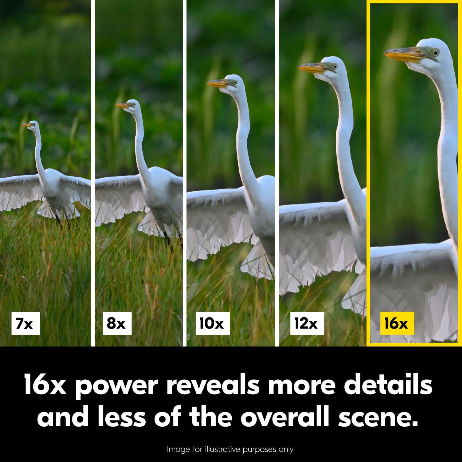 7x 8x 10x 12x 16x power reveals more details and less of the overall scene. Image for illustrative purposes only