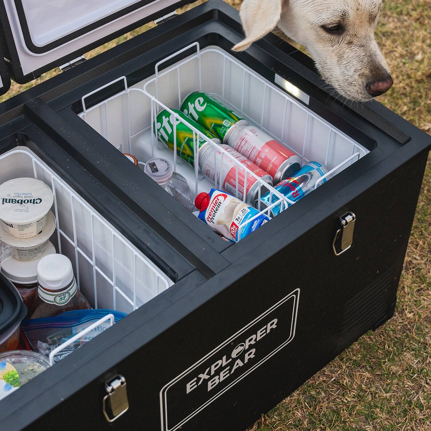 r  sns SPO Chobani nl HtAre te te 93  lihe  F OTA d    i ! I Protein   A   1 Red E 57  SC A EXPLORER BEAR