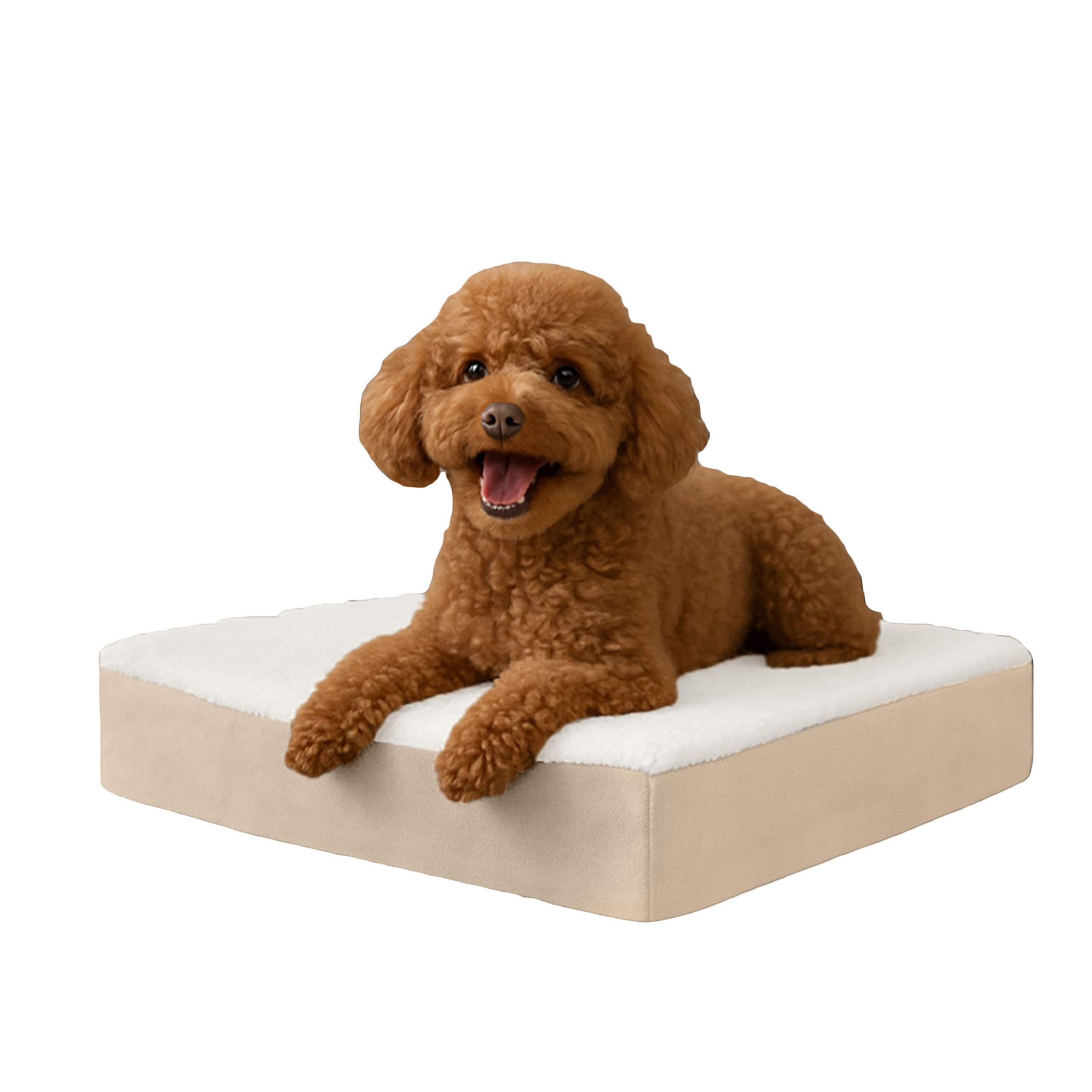 PetMaker - Orthopedic Dog Bed - 2-Layer Memory Foam Pet Bed with Machine Washable Cover 20x15 Pet Bed for Small Dogs up to 20lbs - Tan