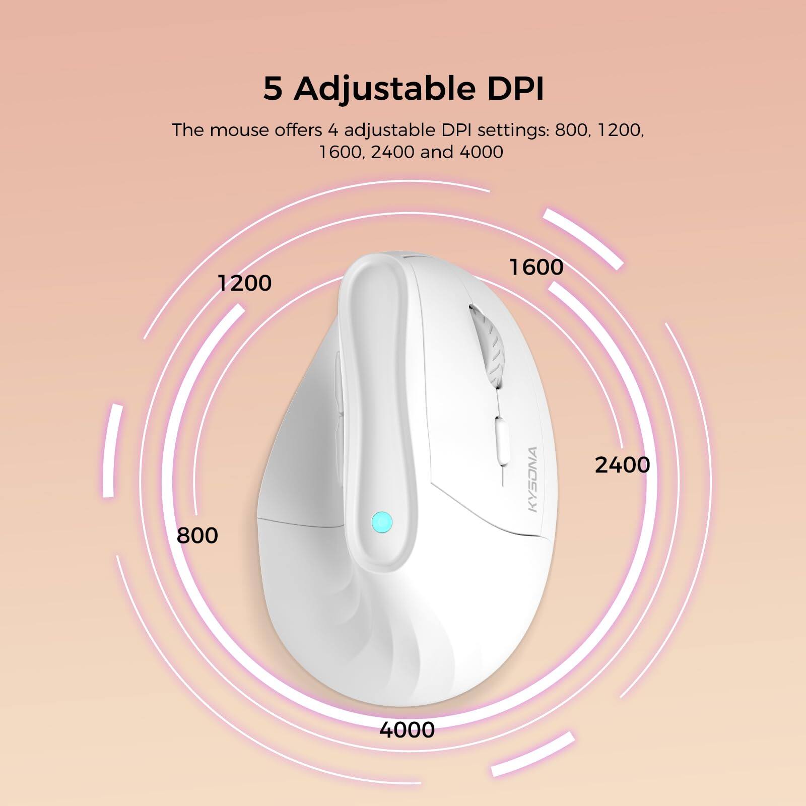 5 Adjustable DPI

The mouse offers 4 adjustable DPI settings: 800, 1200, 1600, 2400, and 4000