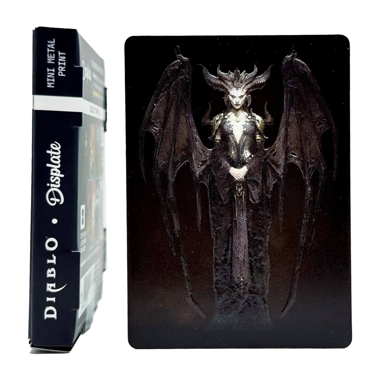 METAL PRINT MINI Displate DIBBIO