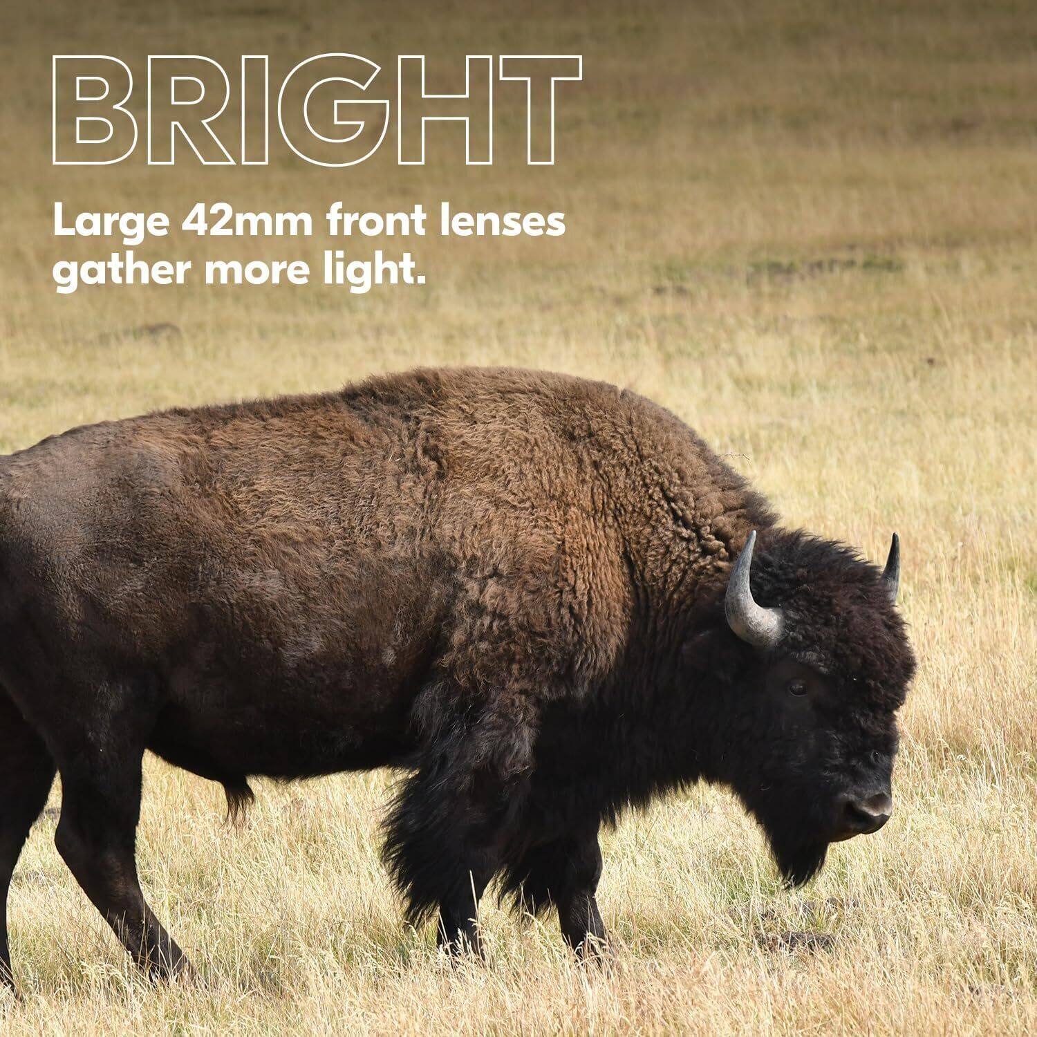 BRIGHT  
Large 42mm front lenses gather more light.