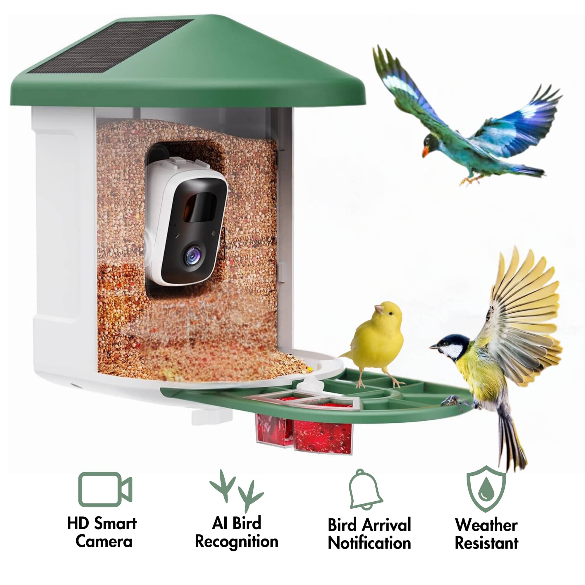 PawFurEver - AI Bird Feeder: Smarter Birdwatching, Right From Your Backyard - Green