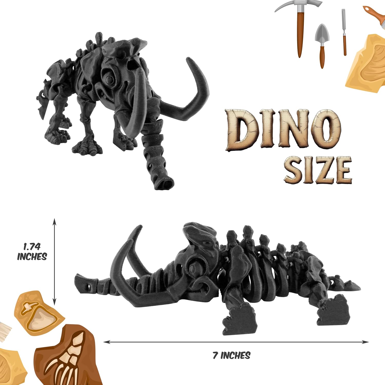 DINO SIZE  
1.74 INCHES  
7 INCHES