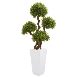 BreeBe - 55" Four Ball Boxwood Topiary Tree in Tall White Planter - Green