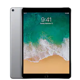 Apple - Refurbished Excellent - iPad Pro 10.5 A1709 (WiFi + Cellular Unlocked) 256GB w/ Wireless Earbuds - Space Gray