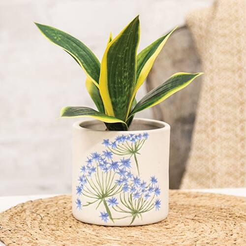 Angle. BreeBe - Blue Thistles Ceramic Planter 4"H - Multi.