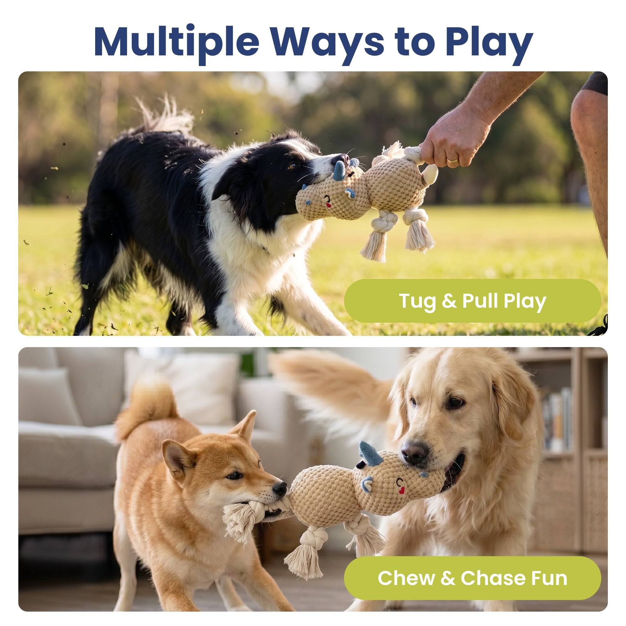 Multiple Ways to Play

Tug & Pull Play

Chew & Chase Fun