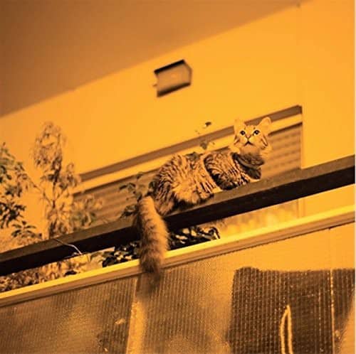 Sam Prekop - Republic   - COMPACT DISCS [CD] price history on PriceWatchPro