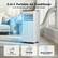 3-in-1 Portable Air Conditioner
One Device, For All Your Comfort Needs
Fan
2 Fan Speeds
Cooling
61°F-90°F
Dehumidifier
51 Pint/Day